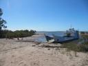 the ferry