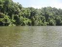 Daintree River