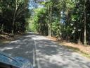Jungle road