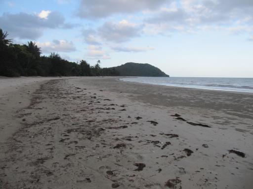 Cape Tribulation