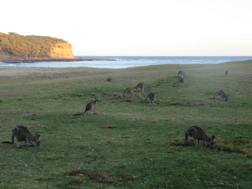 Pebbly Beach