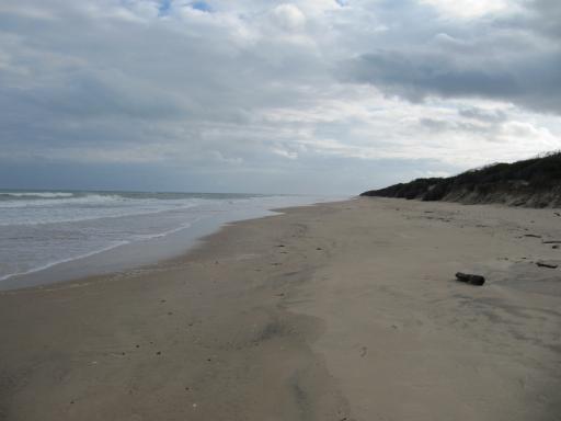 90 Mile beach