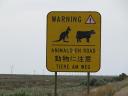 Speciaal voor de Duitsers en Chinezen