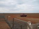 The Dogfence