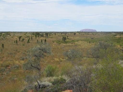 Uluru