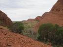 Kata Tjuta