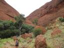Kata Tjuta