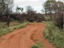 Finke National Park