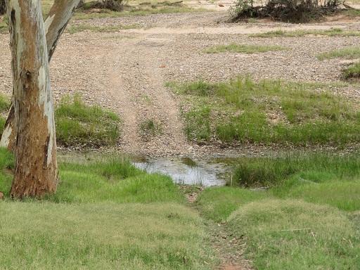 Rivercrossing