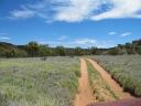 Sandtrack