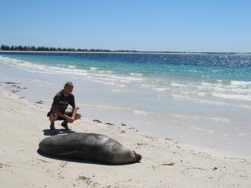 Sammy the Seal