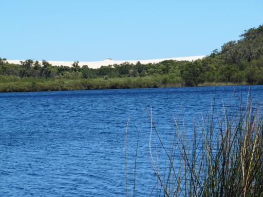 Yeagarup Sand dune