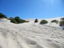 Yeagarup Sand dune