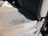 24 Flies