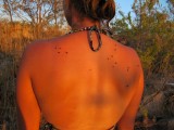 30 More flies