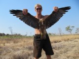 2 Wedge tailed eagle