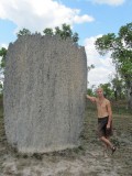 28 Magnetic termite mound