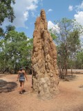 30 One of the largest termite mounds