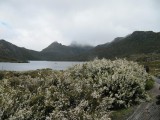 54 Dove Lake