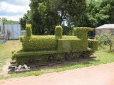 59 Topiary in Railton