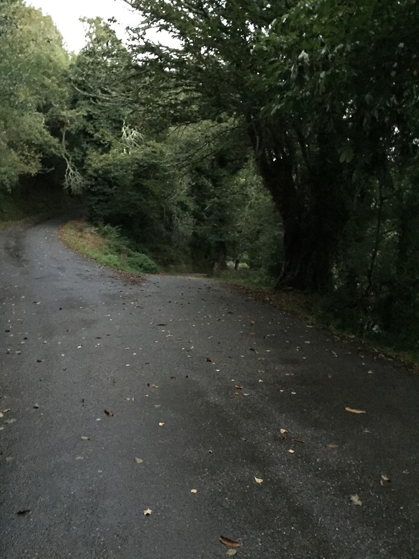 regen
