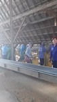In de rijstfabriek