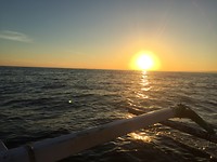 IMG_0488