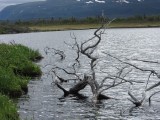IMG_0030