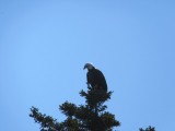 IMG_0013
