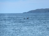 IMG_0149