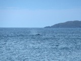 IMG_0158