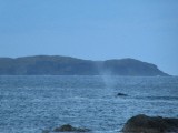 IMG_0166