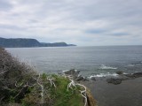 IMG_0036