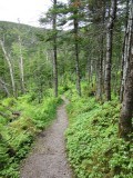 IMG_0064