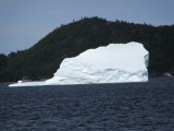 IMG_0081