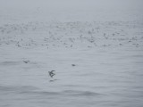 IMG_0020