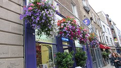 IMG_0029