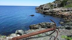 IMG_0012