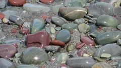 IMG_0031