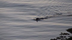 IMG_0023
