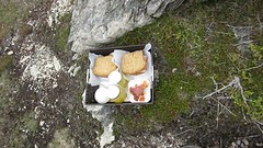 IMG_0108