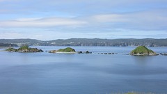 IMG_0132