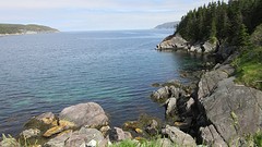 IMG_0134