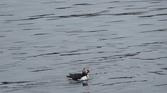 IMG_0034