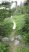 IMG_0063