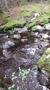 IMG_0083