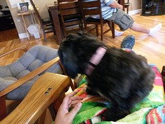 20160703_171633
