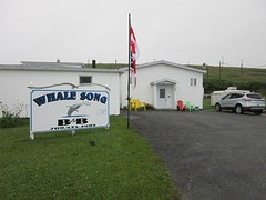 IMG_0001