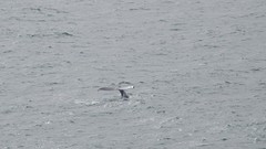 IMG_0024