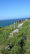 IMG_0026